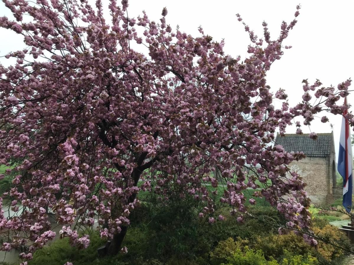 Tricht Kasteel Landgoed Crayenstein B&B מראה חיצוני תמונה